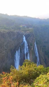 unnamed - 2025-09-24T102918.420